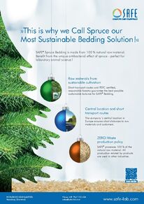 Newsletter SAFE® September 2021