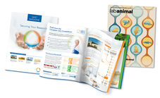 SAFE® Magazine, Novembre 2021