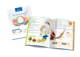 SAFE® Magazine, November 2022