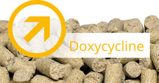 Doxycycline