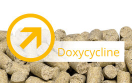 Doxycycline