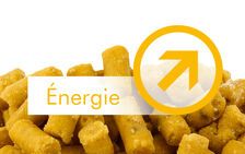 L’ÉNERGIE DANS LES ALIMENTS